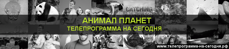 Телепрограмма на сегодня канала Анимал Планет