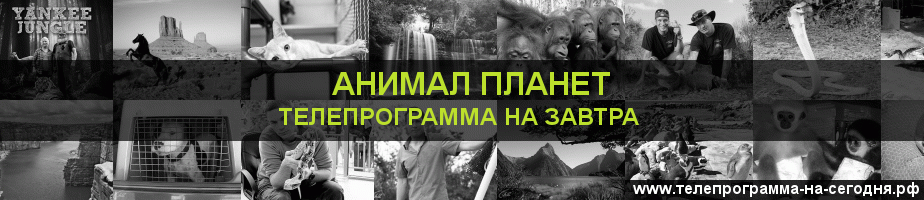 Телепрограмма на завтра канала Анимал Планет