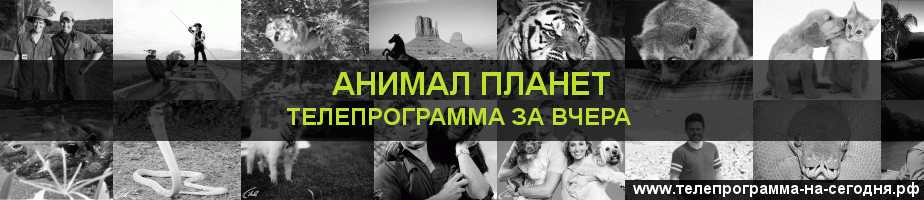 Телепрограмма за вчера канала Анимал Планет