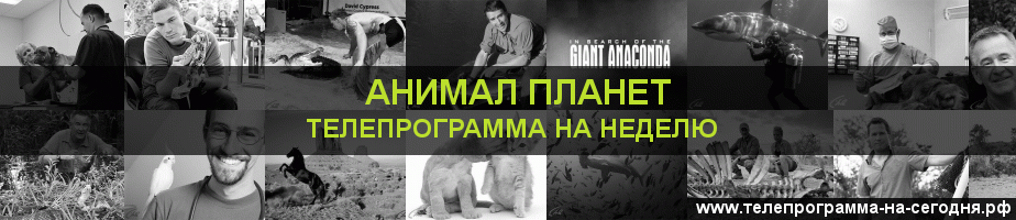 Телепрограмма на неделю канала Анимал Планет